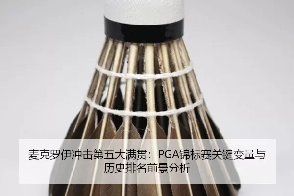 麦克罗伊冲击第五大满贯：PGA锦标赛关键变量与历史排名前景分析